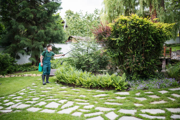 Best Commercial Tree Services  in Riverse, ID